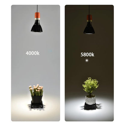 Sxminer 18W Full Spectrum LED Plant Light Bulb, E26/E27 Base, High PPFD 120LM/W, 5800K Cool Daylight, 24° Focused Beam, CRI 98+, for Indoor Plants, Seedlings, Succulents, Greenhous – 1 Pack