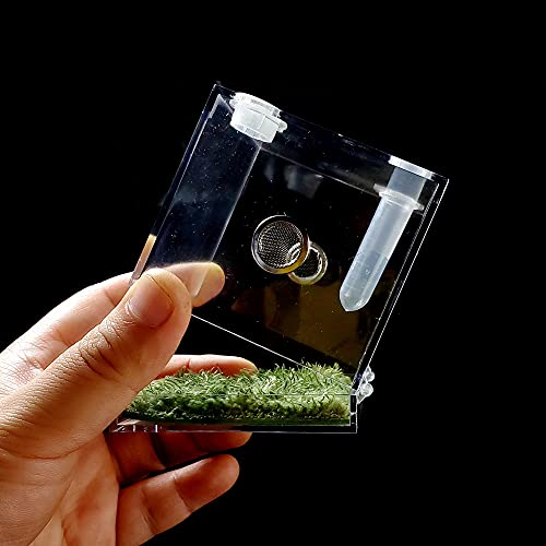 Jumping Spider Micro Big Habitat, Small Pet Insect Breeding Box, 360 Degree High Transparent Reptile Cage, Acrylic Case Mini Carrier for Amphibians, Feeding Container Enclosure Accessories - size: 2.6x2.6x2.7inches