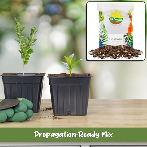 Soil Sunrise Plant Propagation Potting Mix (8 Quarts); Ideal Starter Mix for Rooting Plant Cuttings - size: 8 Quarts