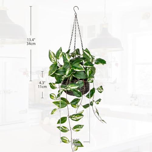 Oairse Artificial Hanging Plants Fake Hanging Plants with Pots Faux Golden Pothos N‘ Joy Potted Plant Wall Plant with Basket Pot for Wall Shelves Bedroom Bathroom Indoor Outdoor - color: Golden Pothos