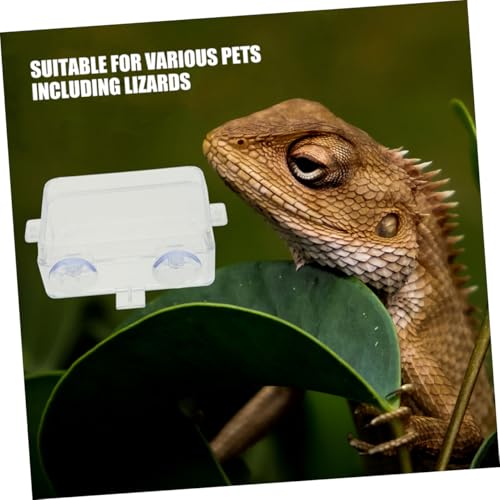 BESPORTBLE Suction Cup Food Bowl Reptile Accessory Bearded Dragon Water Bowl Multi-use Feeder Easy-Clean Reptile Dish