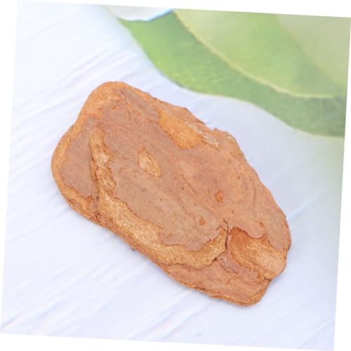 DOITOOL 1pack Natural Pine Bark Cushion for Reptile Box for Lizard Chameleon and Habitat Decor Provides Natural Environment Great for Crawlers