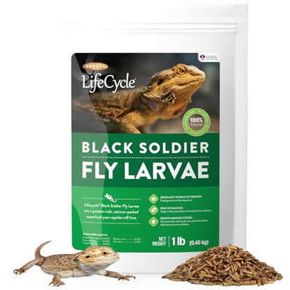 Black Soldier Fly Larvae, Bearded Dragon Food, Bugs for Reptiles, Worms for Geckos, Insect Protein, Baby Bearded Dragon Food, Made in USA (1 Pound (Pack of 1)) - size: 1 Pound (Pack of 1)