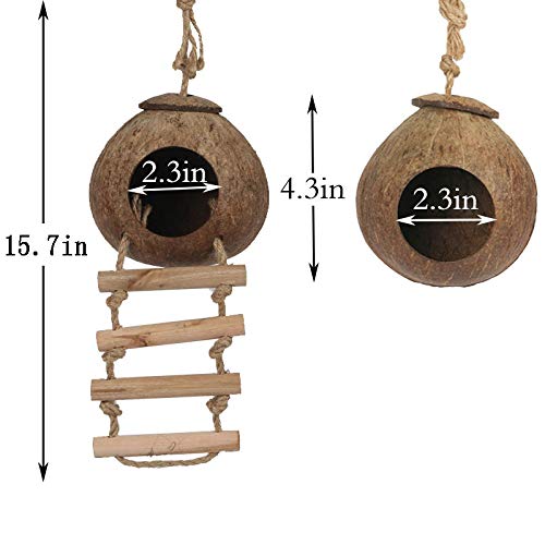 Hamiledyi Lizard Coco Den Reptile Hideouts Gecko Coconut Shell Hut Coconut hut for Geckos Bearded Dragon Tank Accessories Coconut Lizard Hut with Ladder - Natural Coconut Fiber