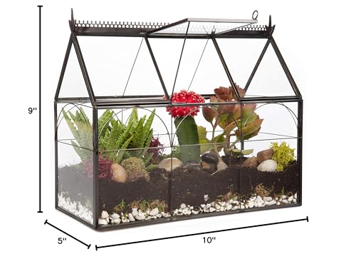 D'Eco Glass Greenhouse Centerpiece (10x4.5x9) - Spring Home Decor & Wedding Letterbox - Tabletop Geometric Planter Terrarium - Fill with Succulents, Moss, Flowers for Plant Lovers - size: Greenhouse