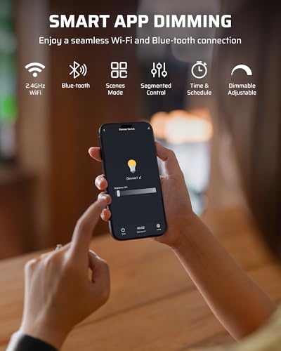 DEWENWILS Outdoor Dimmer for String Lights, Smart Dimmer Plug with Remote, Compatible with Alexa & Google Home, Waterproof, 100FT Range, Remote Dimming for Dimmable LED/Tungsten Bulbs, 2.4GHz Only - style: Smart/WIFI Dimmer