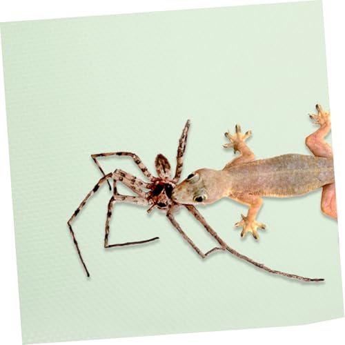 ORFOFE Nonslip EVA Reptile Terrarium Mat Carpet for Bearded Dragon Gecko Snake Lizard Tortoise Soft Washable Cage Liner Substrate and Shape for Safe Resting