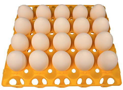 6 RITE FARM PRODUCTS 20 EGG PLASTIC TRAYS FOR DUCK GOOSE TURKEY PEAFOWL CARTON