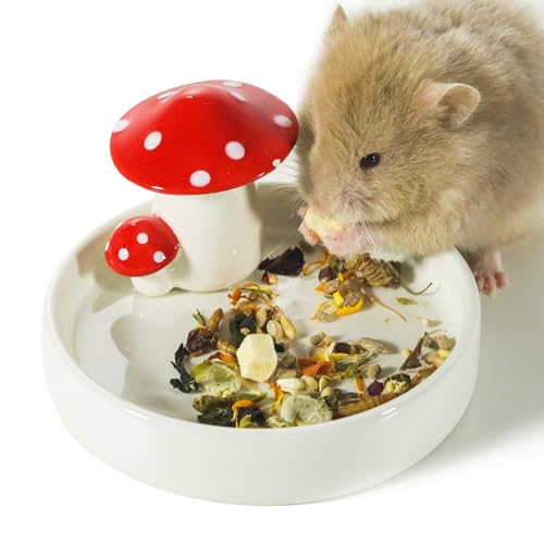 Niteangel Hamster Feeding & Water Bowls- Mushroom Ceramics Series Food Dish Feeding Bowls for Dwarf Syrian Hamsters Gerbils Mice Rats or Other Similar-Sized Small Pets (Feeding Bowl) - size: Feeding Bowl