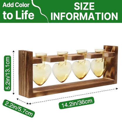 Plant Propagation Stations Heart Plant Terrarium Kit Gift for Women Plant Lover Glass Vases - color: Gold