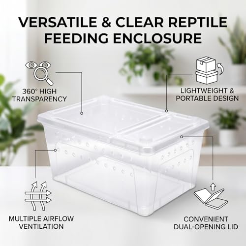 Reptile Feeding Box, Transparent Portable Plastic 2PCS Breeding Transport Box for Lizard Bearded Dragon Spider (L)