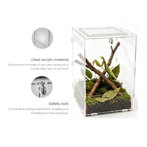 Clear Acrylic Reptile Terrarium with Mesh Top for Lighting, Waterproof and Ventilated Enclosure for Small Insect,Jumping Spider, Tarantula, Easy Access Feeding