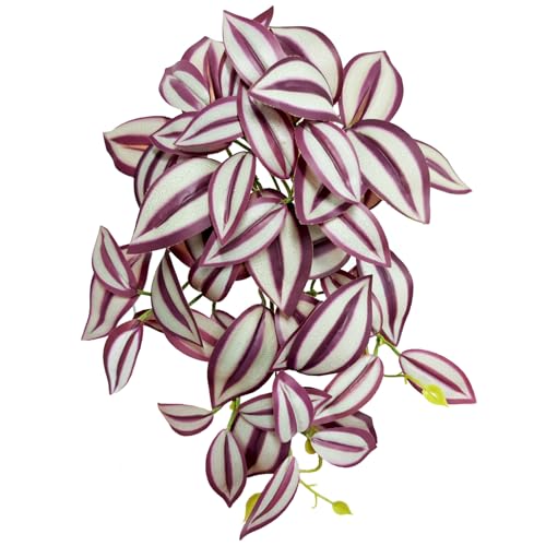 Woyrise Reptile Plants, Terrarium Hanging Plant Vines, Artificial Leaves with Suction Cup, Bearded Dragon Tank Accessories for Gecko Lizard Snake Frog Tortoise Decorations - Purple Zebrina - color: H-fake Tradescantia Zebrina Purple