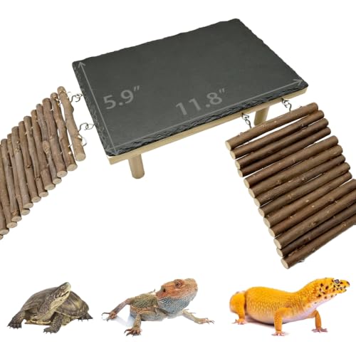 Wooden Bearded Dragon Platform Reptile Basking Platform Climbing with Slate Stone Tank Accessories for Leopard Gecko Lizard Tortoise Snake (Medium Applewood) - size: medium(B)