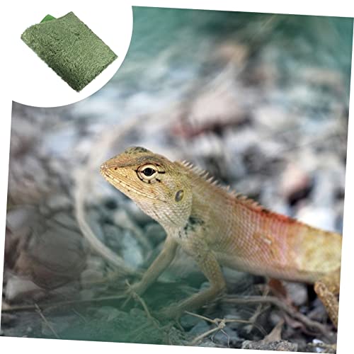 2Pcs Moss Reptile Carpet Liner for Terrarium Breathable Substrate for Lizards Iguanas Tortoises Non Adhesive Soft Reusable Crawler Mats
