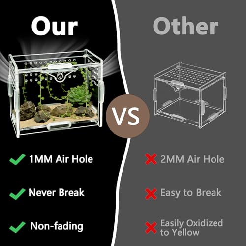 Small Acrylic Insect Terrarium – Mini Insect Enclosure for Jumping Spiders – Clear Acrylic Cage with 1mm Ventilation Holes, Easy Maintenance - size: Small Square Acrylic Terrarium