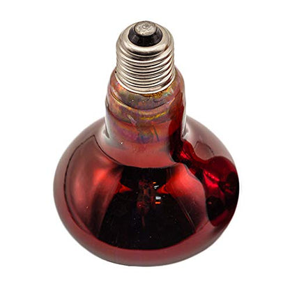 Infrared Heat Lamp 100 watt Red Hard Glass Waterproof Explosion-Proof Light Bulb for Chicken Pig Farm Pets Physiotherapy Bathroom in Winter(100w,120V)