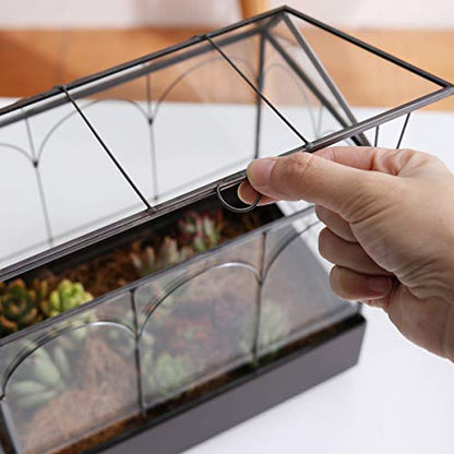 Large 11.5" Tall Plant Terrarium Glass – Glass Greenhouse Terrarium with Lid and Tray,Indoor Tabletop Orchid Succulent Cacti Terrarium
