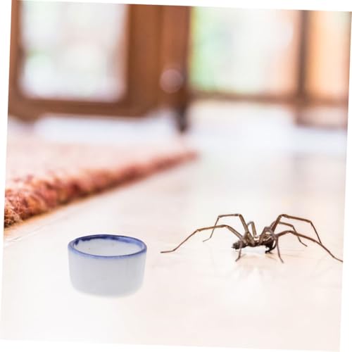 Happyyami 12pcs Mini Ceramic Reptile Water Dish for Enclosures Space-Saving Feeding Bowl for Small Pets Versatile Design for Species