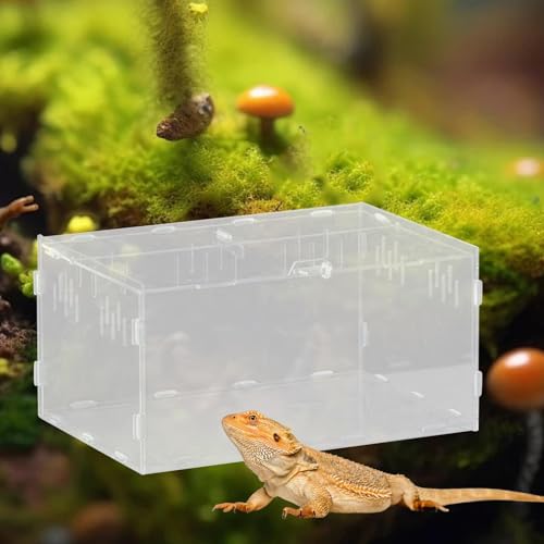 Reptile Breeding Box Terrarium Clear Animal Habitat Cage with Ventilation Holes for Geckos Frogs Hermit Crabs- 30x20x15cm - size: 30x20x15cm