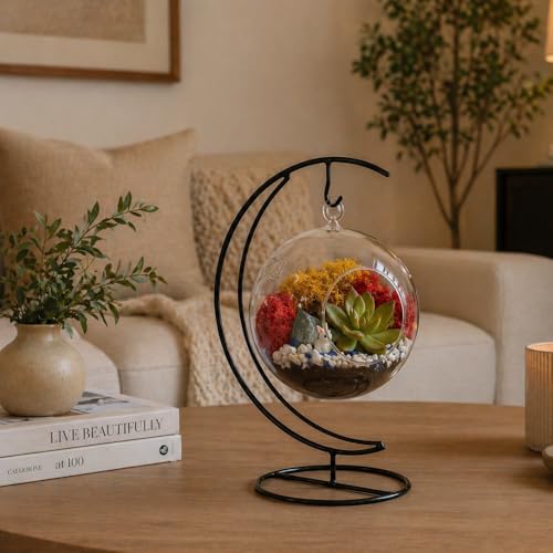 Creations by Nathalie Glass Terrarium: Air Plant & Succulent Holder, DIY Kit Vase (Glass Globe with Stand)