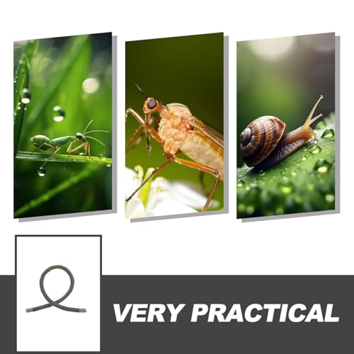 BESPORTBLE Reptile Climbing Branch Suction Cups and End Caps, Artificial Vine for Gecko Tank Accessories and Hermit Crab Habitat Decoration, 0.5 Meter Flexible Jungle Vine for Lizard