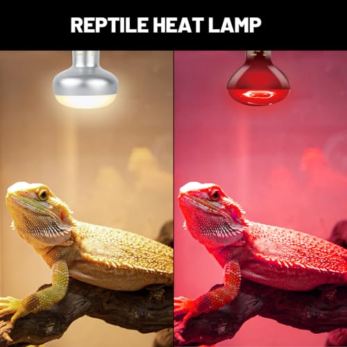 Reptile Dual Lamp Fixture Heat Lamp Bulb Combo Pack,100W UVA Daylight Reptile Heat Lamp and 100W Infrared Reptiles Heat Blub Basking Spot