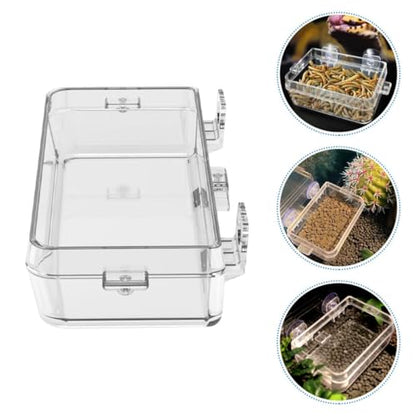 BESPORTBLE Large Transparent Reptile Feeding Bowl with Suction Cup Smooth Food and Water Dish for Lizards Geckos Bearded Dragons Abs Material Reusable Feeder for Terrarium Use