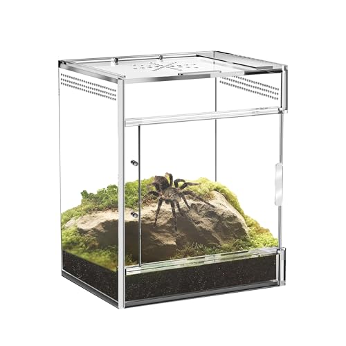 Jumping Spider Enclosure, Compact Acrylic Terrarium for Jumping Spiders, Tarantulas, and Praying Mantis - Small Insect Habitat Enclosure with Transparent Design (5.9x5.9x9.0 Inch)