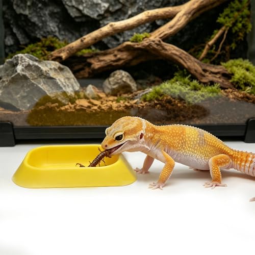 4 Pack Reptile Food and Water Bowls, Colorful Small Reptile Feeding Dishes for Leopard Gecko, Bearded Dragon, Lizard, Frog, Tortoise, Hermit Crab, Snail