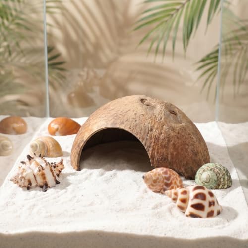 SHINEOFI Coconut Shell Hideout with 8 Large Hermit Crab Seashells Natural Reptile Shelter Small Pet Hide Cave for Aquarium Turtle Rest Hut and Lizard Habitat Decor