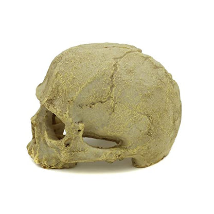 JIHAQUA Aquarium Resin Skull, Reptile Tank Accessories Ornament Basking Snake Hide Decor Habitat