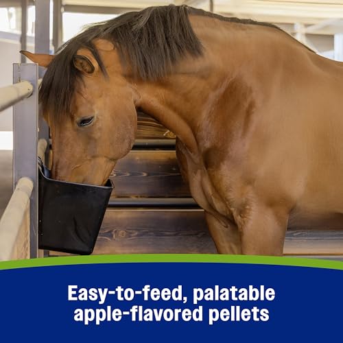 Farnam Apple Elite Electrolyte Supplement for Horses, Replaces Vital Minerals, for Hydration, No Added Sugar, Horse Supplements with Sodium, Potassium, Calcium & Magnesium, 7.5 lb, 40 Day Supply - size: 7.5 pounds