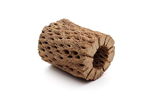 3, 6, 9, 12 Inch All Natural Teddy Bear Cholla Wood Extra Hollow Untreated Organic Aquarium Driftwood Decoration Chew Toy Shrimp Crab Cichlid Nano Tank Birds 1 or 5 Pieces (1 Piece, 3 inch) - size: 1 Piece, 3 inch