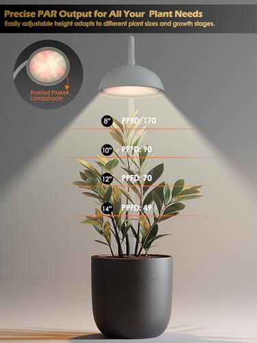 GLOWRIUM Smart Grow Lights for Indoor Plants,10W Full Spectrum LED Plant Light with 3/9/12 Timer,10 Dimmable Levels,Height Adjustable Grow Light with Base (White) - color: White