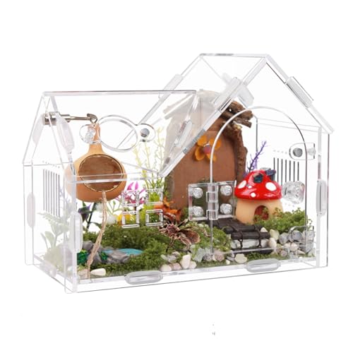 Acrylic Jumping Spider Enclosure with Magnetic Door - Transparent Tarantula Terrarium for Pet Spiders - Secure & Ventilated Reptile Habitat for Hermit Crabs, Geckos, and Small Insects