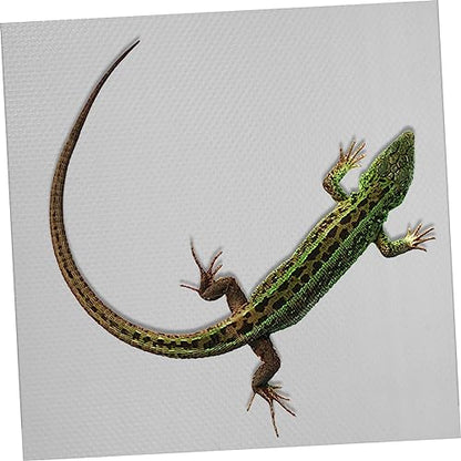 Reptile Carpet Mat for Leopard Gecko Lizard Snake and Turtle Soft Non-Slip Terrarium Substrate Bedding 48 x 24 Easy to Clean Accessories for Reptile Tank - color: White