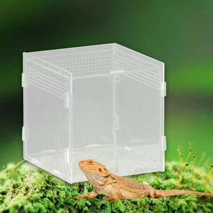 Reptile Breeding Box Acrylic Terrarium Container with Ventilation Holes for Snakes Turtles Chameleons Frogs Geckos Small Animal Habitat- 10x10x10cm