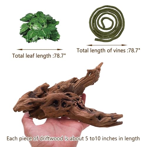 Hamiledyi 5 Pcs Reptile Plants Terrarium Hanging Fake Plant Leaves and Reptile Driftwood Branch Decor Terrarium Ornament Wood for Snake Bearded Dragon Leapord Gecko