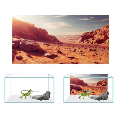 COMSUN 3 Pack Terrarium Background, 48x24 inches Polyester Reptile Backgrounds, Cloth Terrarium Background, Gobi Sunshine Cactus Stone & Green Tree Fern Stream Backgrounds - size: 48x24 Inch