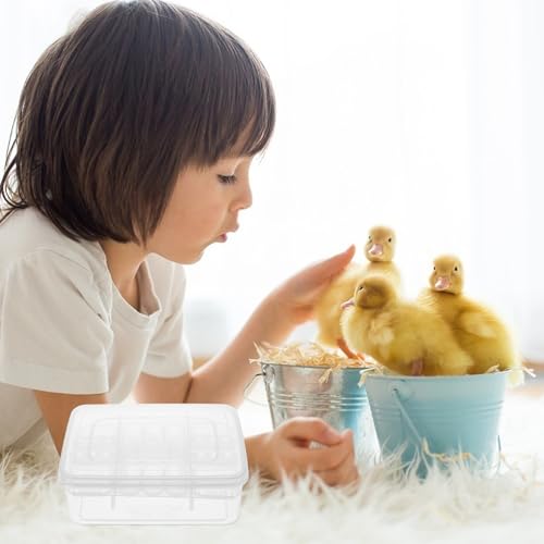 2pcs Reptiles Egg Incubator Habitat Cage Feeding Hatching Container Incubator Reptile Breeding Box 16 Holes Portable Plastic Mini Pet Houses for Hatching Reptile Spider Snake
