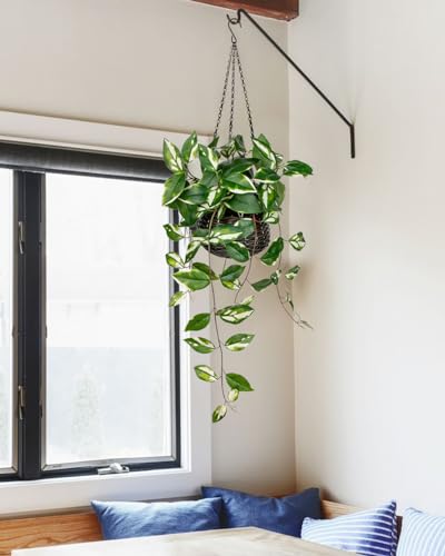 Oairse Artificial Hanging Plants Fake Hanging Plants with Pots Faux Golden Pothos N‘ Joy Potted Plant Wall Plant with Basket Pot for Wall Shelves Bedroom Bathroom Indoor Outdoor - color: Golden Pothos