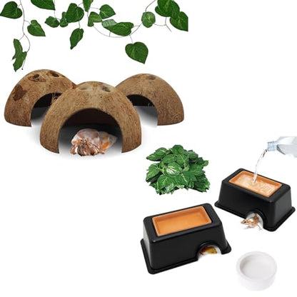 Hamiledyi Reptile Hideouts Natural Coconut Shells Hut Hermit Crab Climbing Toys and 4 Pcs Humid Hide for Leopard Gecko Moist Reptile Hide Box for Spider Snake Chameleon