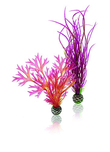 biOrb Medium Red & Pink Plant Set, Colorful and Durable Aquarium Decorations - color: Red/Pink, size: Medium
