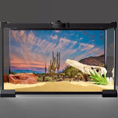 AWERT 48x18 inches Terrarium Background Blue Sky Cloud Huge Cactus Oasis Gobi Reptile Habitat Background Vinyl - size: 48x18in/120x45cm