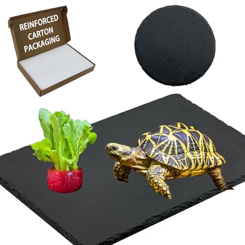 2 Pack Reptile Basking Platform 11.8 × 7.9" + 4", Reptile Slate, Basking Rock, Slate Tiles Rocks for Reptiles,Terrarium Bowls for Bearded Dragon Tortoise Turtle Ball Python Snake Lizard Gecko - size: 11.8 × 7.9 IN + 4 IN