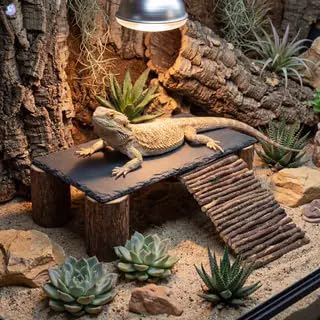 Bearded Dragon Basking Platform Natural Slate Rock with Wood Log Legs & Branch Ramp, Reptile Hide Basking Spot Tank Decor, Suitable for Leopard Gecko, Tortoise, Ball Python Small Black