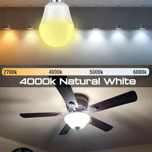 E12 Candelabra LED Light Bulbs 60W Equivalent, Natural White 4000K 5W 600LM, G45 Shape A15 Globe E12 Small Light Bulbs for Chandelier Ceiling Fan Wall Lighting, Non-Dimmable, 4 Pack - color: 4000k Natural White, size: 60 Watts