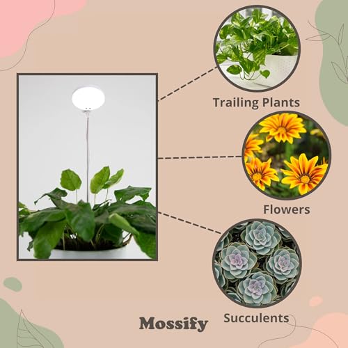 Mossify LED Grow Lights for Indoor Plants Full Spectrum – Adjustable Height (8”-28”), Dimmable Brightness, Programmable Timer, Long Lifespan – Ideal Grow Lights for Healthy Plant & Houseplants (Black) - color: Black