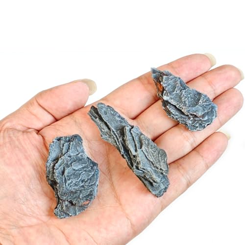 Kai Dream Miniature Stones for Terrarium - Tree Bark Diorama Rocks for Miniature Terrain Display - Lightweight Reptile Habitat Decor - NOT for Aquarium Underwater Use - 24Pcs Slate Stone (1-2 inch)“ - style: 24P Wooden Slate Rocks